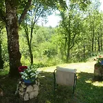 Jolie Longere En Pleine Nature