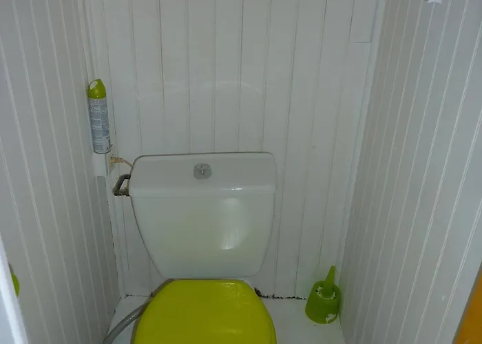 Jolie Longere En Pleine Nature